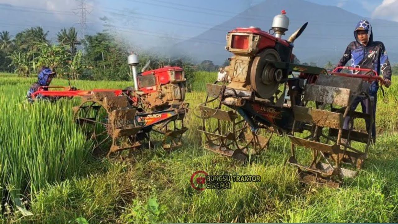 Pegel sawah nya jauh dari akses jalan‼️traktor Boxer berangkat menelusuri tanggul…