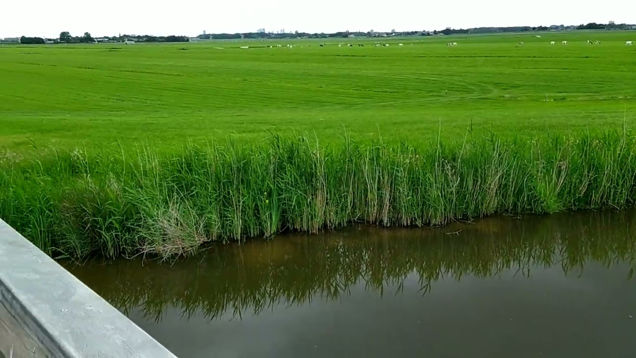 polderen!