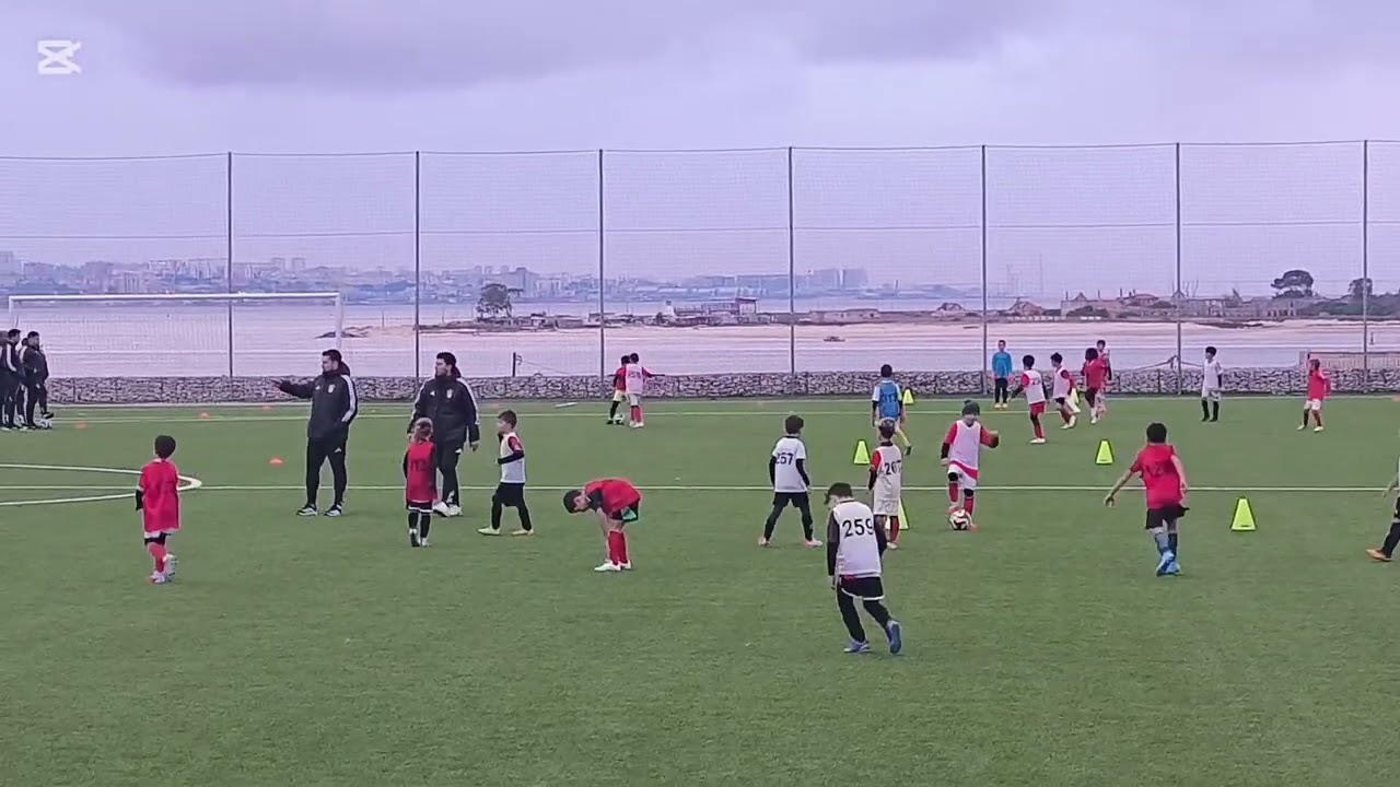 Pereira do Benfica 2026