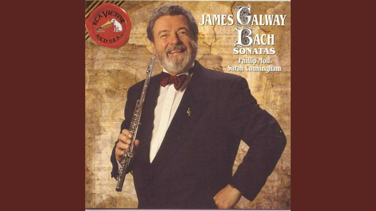 Suite No. 2 in B Minor, BWV 1067: VII. Badinerie