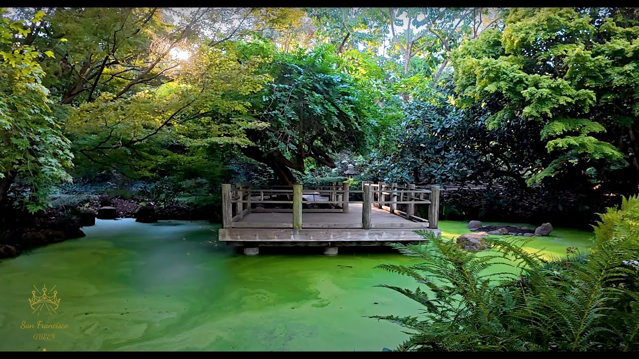 San Francisco Botanical Garden 🌿 Hidden Gem in SF Golden Gate Park!
