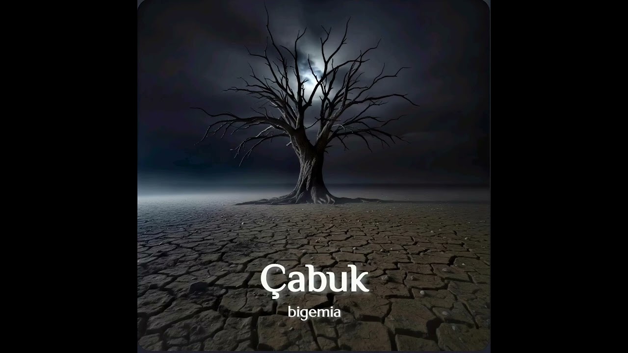 Bigemia - Çabuk 
