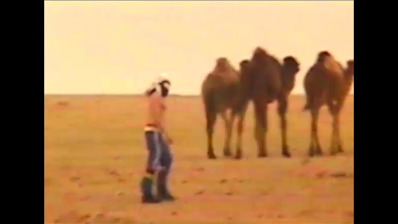 Jwles - T&ecirc;te Basse