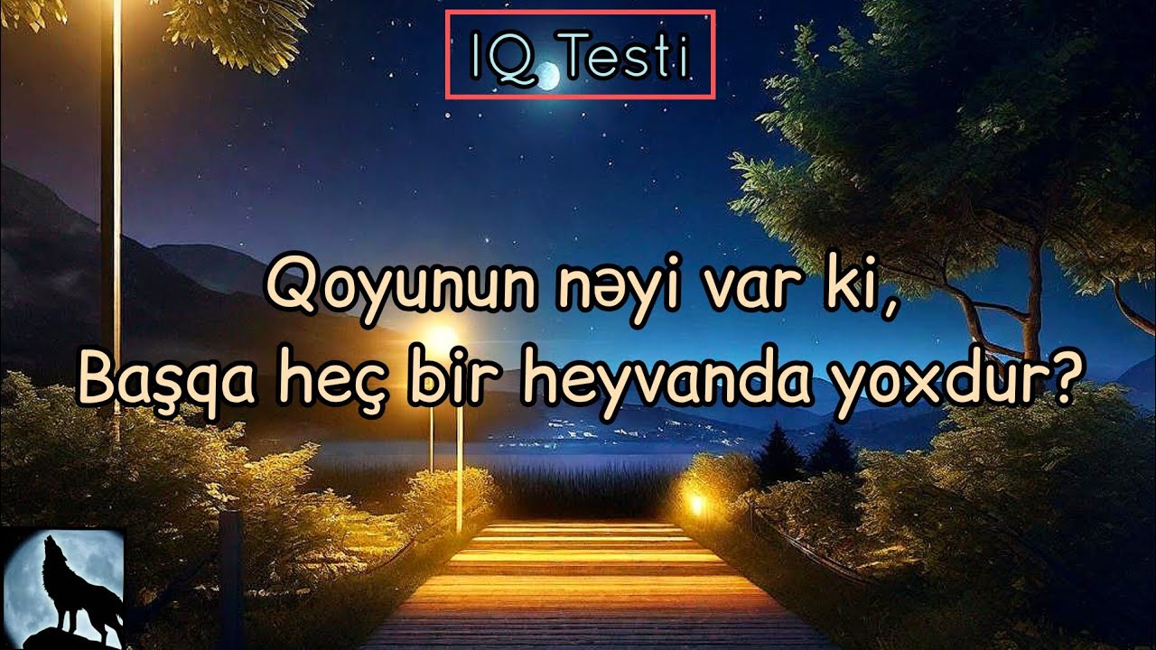 10 Maraqlı və Düşündürücü Məntiq Sualı - Neçəsini Tapa Bilərsən? | IQ Testi