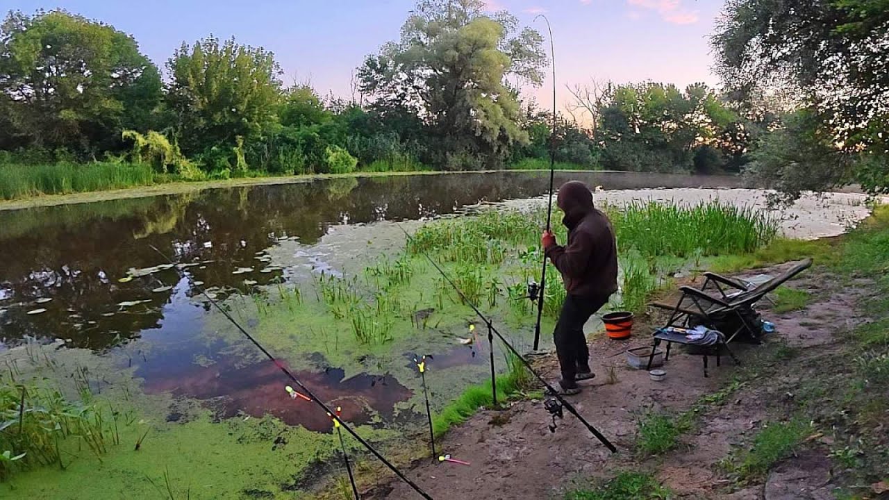 ЛОВЛЮ НА КОРМАЧКИ БІЛЯ ЗАТОПЛЕНОГО БОЛОТА.Рибалка на кормачки
