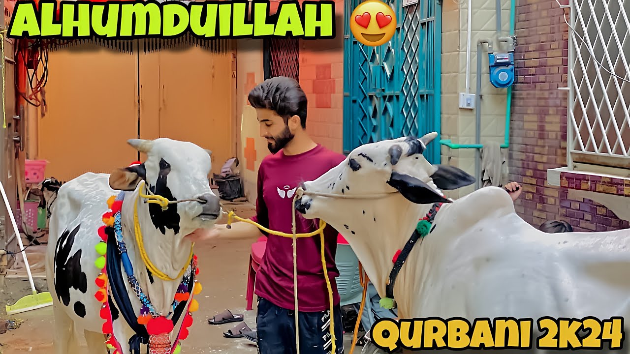 Alhumduillah Qurbani Ka Janwar Le Lia 😍 | Bakra Eid 2024 ❤️ | Kitnay Ma Soda Howa ?