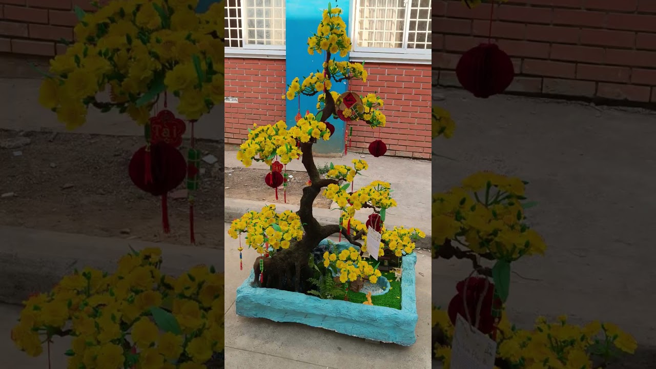 Hội thi mai đào