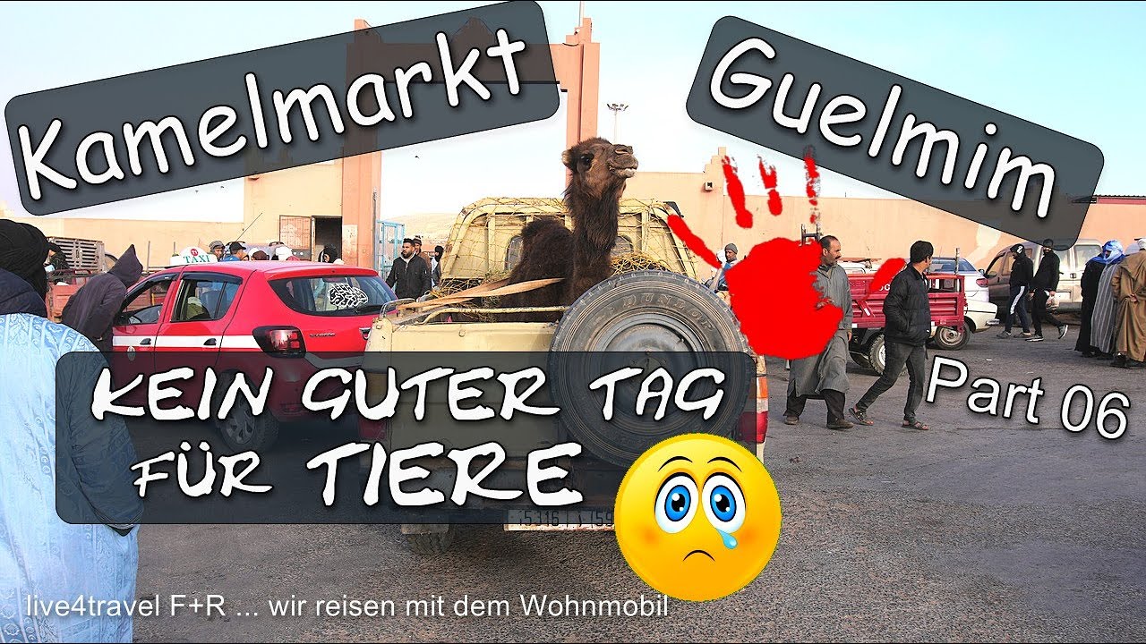 MAROKKO 25 -  Kamelmarkt in Guelmim (Part 06)