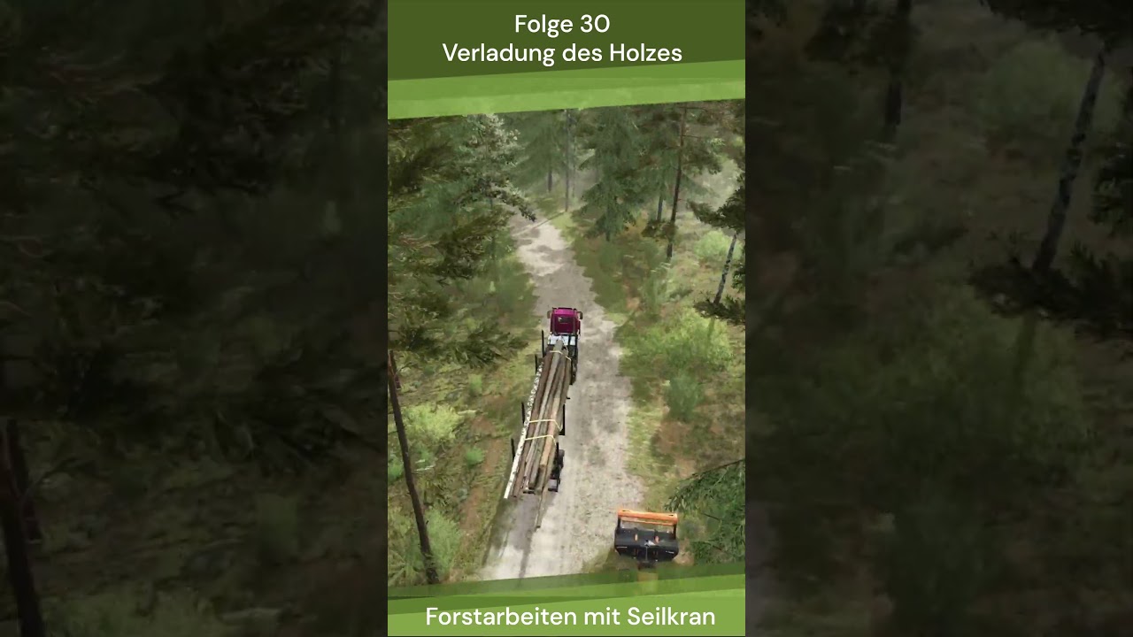 🌲 LS25 / FS25 🌲 Forstarbeiten mit Seilkran 🌲 #30