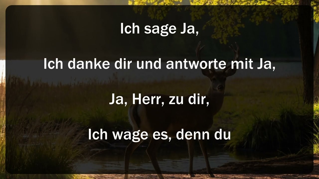 Du sagst Ja von Christoph Zehendner (mit Text)