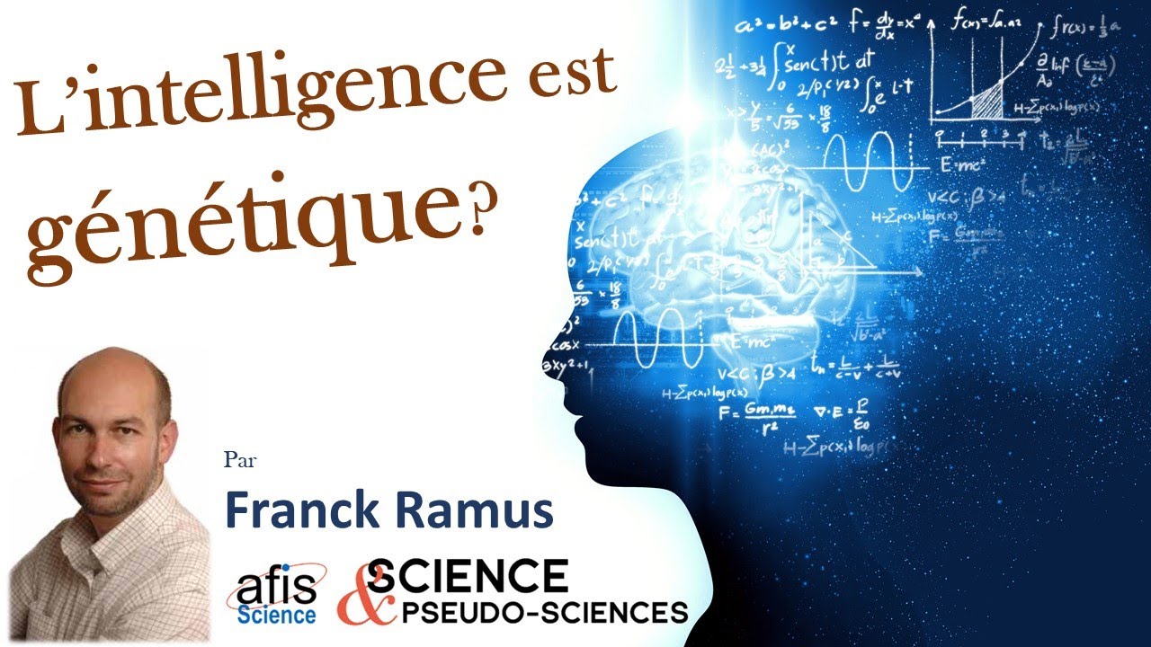 Intelligence (5/8) : L'intelligence est génétique ?