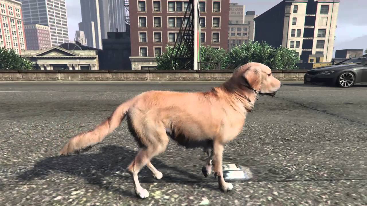 Golden Retriever Dog explores the City of GTAV