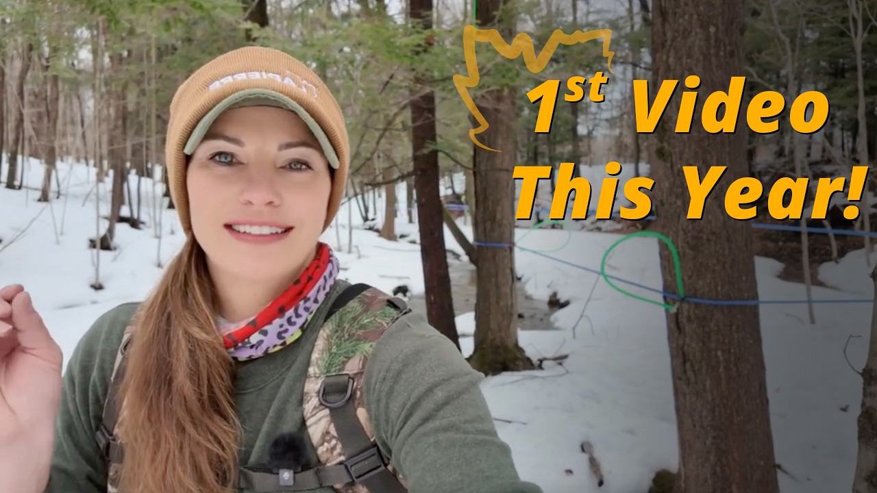 Maple Tubing & Fittings Explained: How Sap Travels From Tree to Sugarhouse
