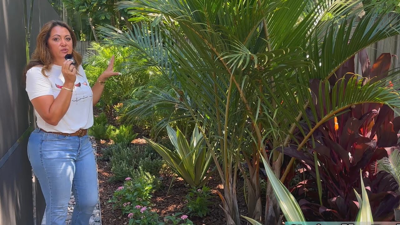How I TRANSFORMED an Empty Yard into a Dream Vacation Spot! Come Walk & Talk Plants with ME 🪴🌸