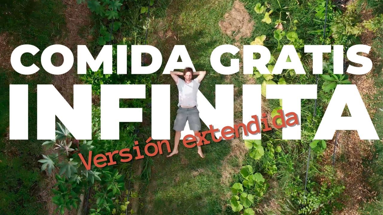 Cómo cultivar un bosque comestible que te de alimentos todo el año sin fertilizantes ni agroquímicos