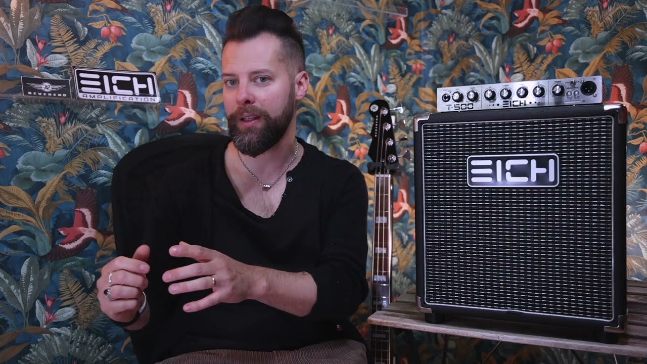 Test/Review Basso Reverend Signature Meshell Ndegeocello + EICH T500 +CAB. #bassyoulife