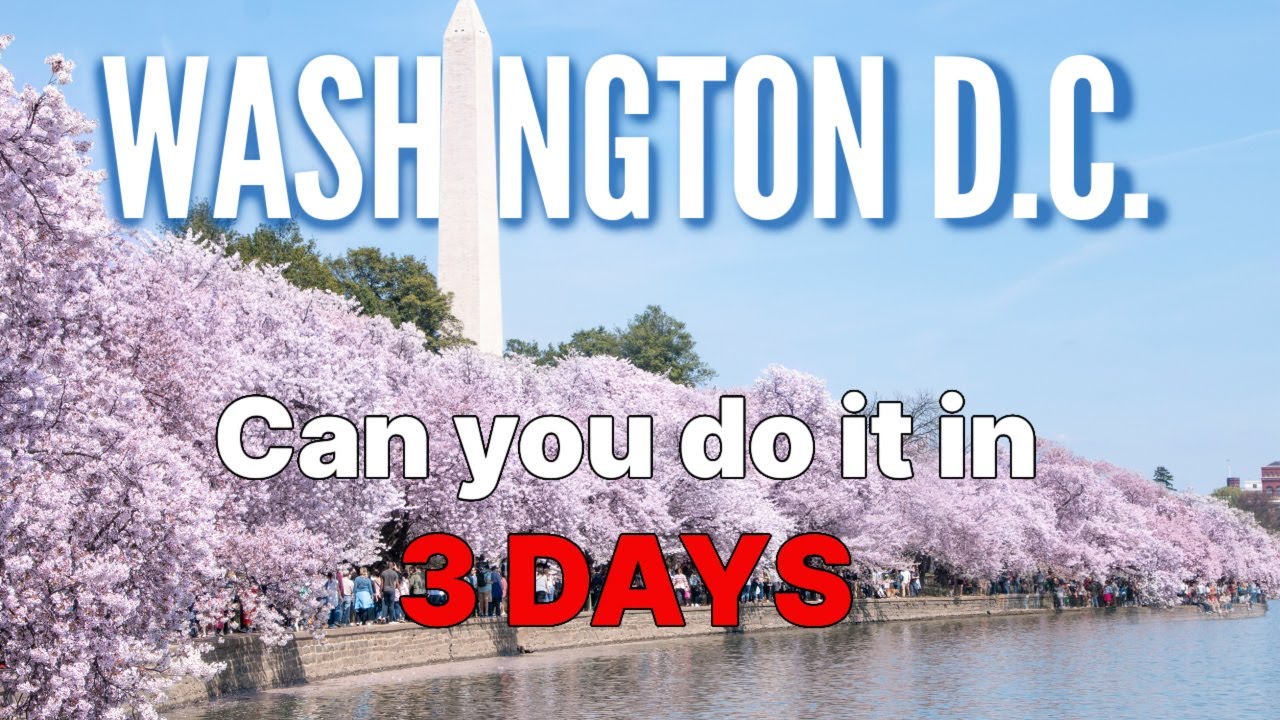 WASHINGTON D.C. IN 3 DAYS | HOW TO SEE DC IN A WEEKEND | MOUNT VERNON | Family Travel Vlog