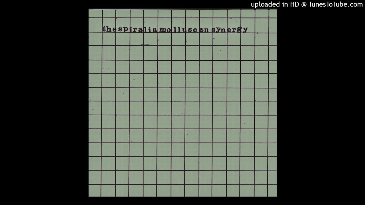 The Spiralia Molluscan Synergy - s/t