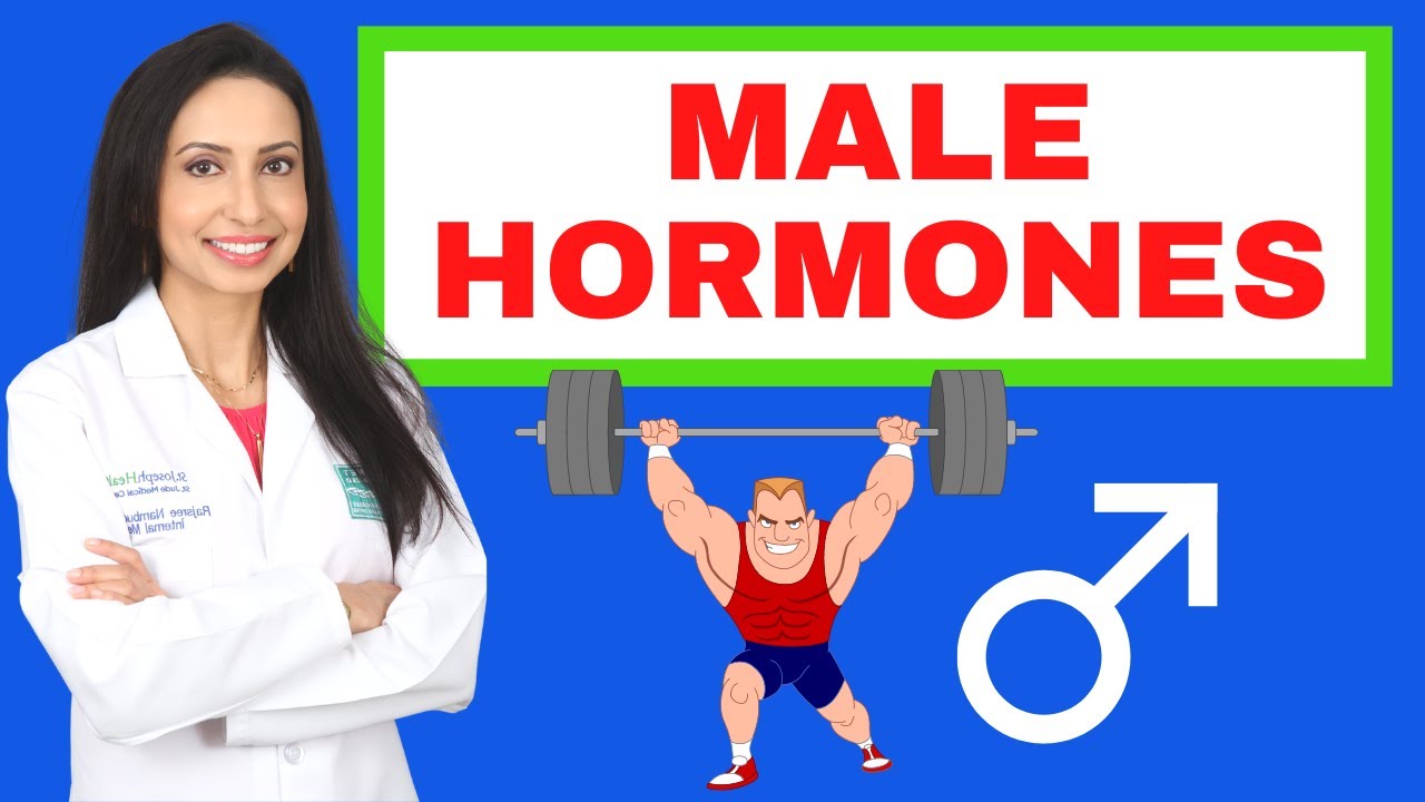 Male Hormones:  How's your testosterone and estrogen?
