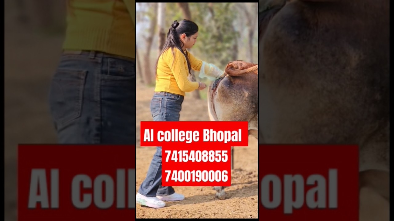 Ai college Bhopal Madhya Pradesh ll #aitraining #madhyapradesh #bopal #love #haryanvisong