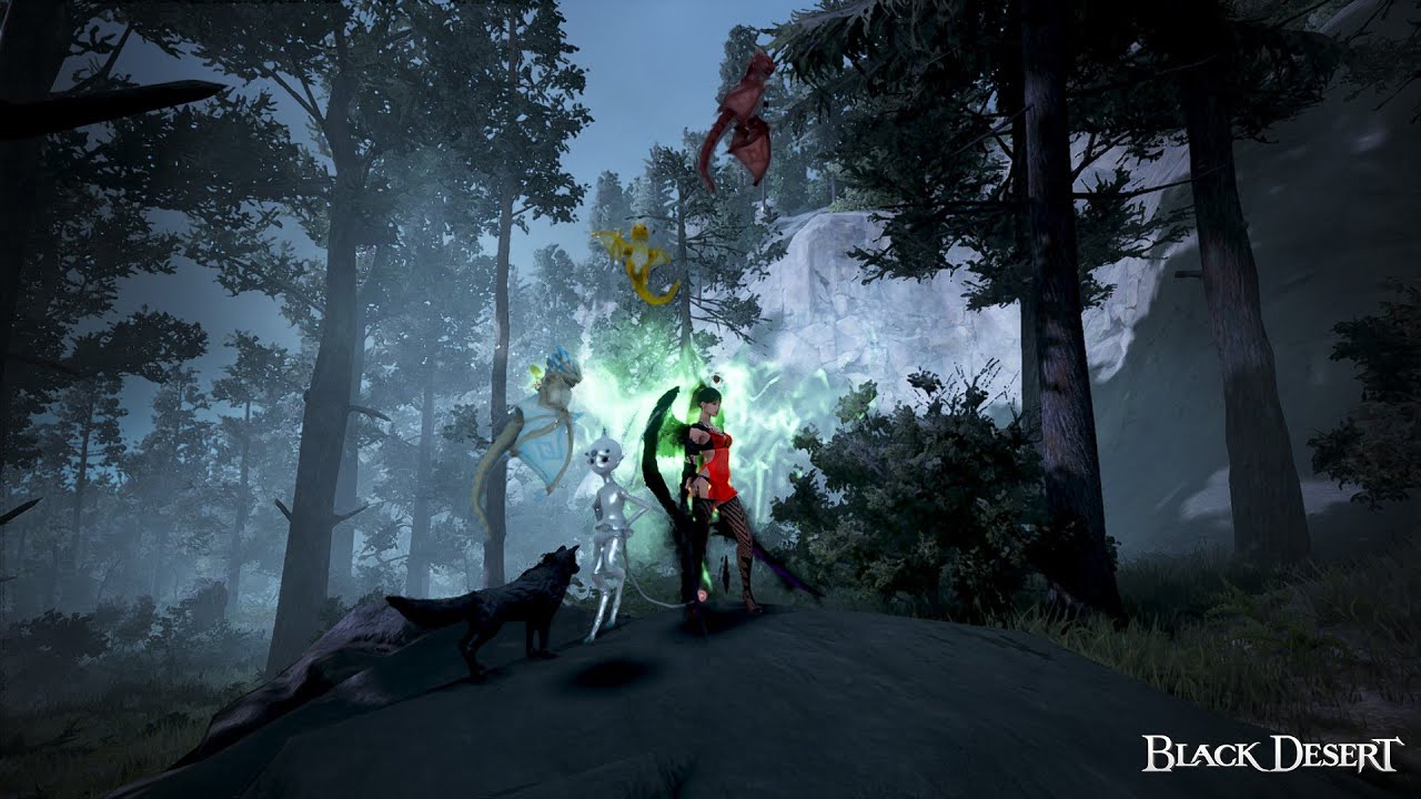 BDO Kül Rengi Ormanı / Ash Forest   Pve Rotasyon ve slot detayları 