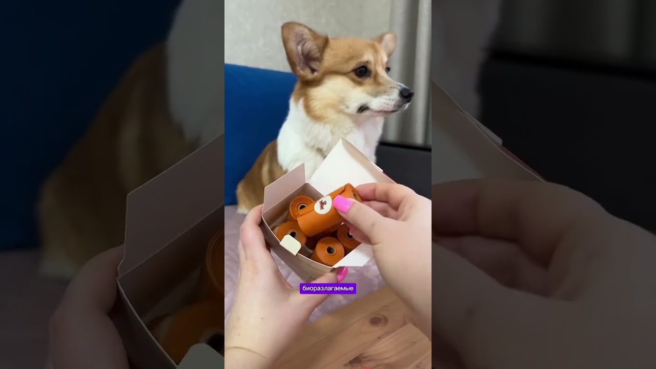 Самый красивый Диспенсер для какетиков от Muzzle - Pet  🛒Арт. OZON #1313756031 🛒Арт. WB #192180591