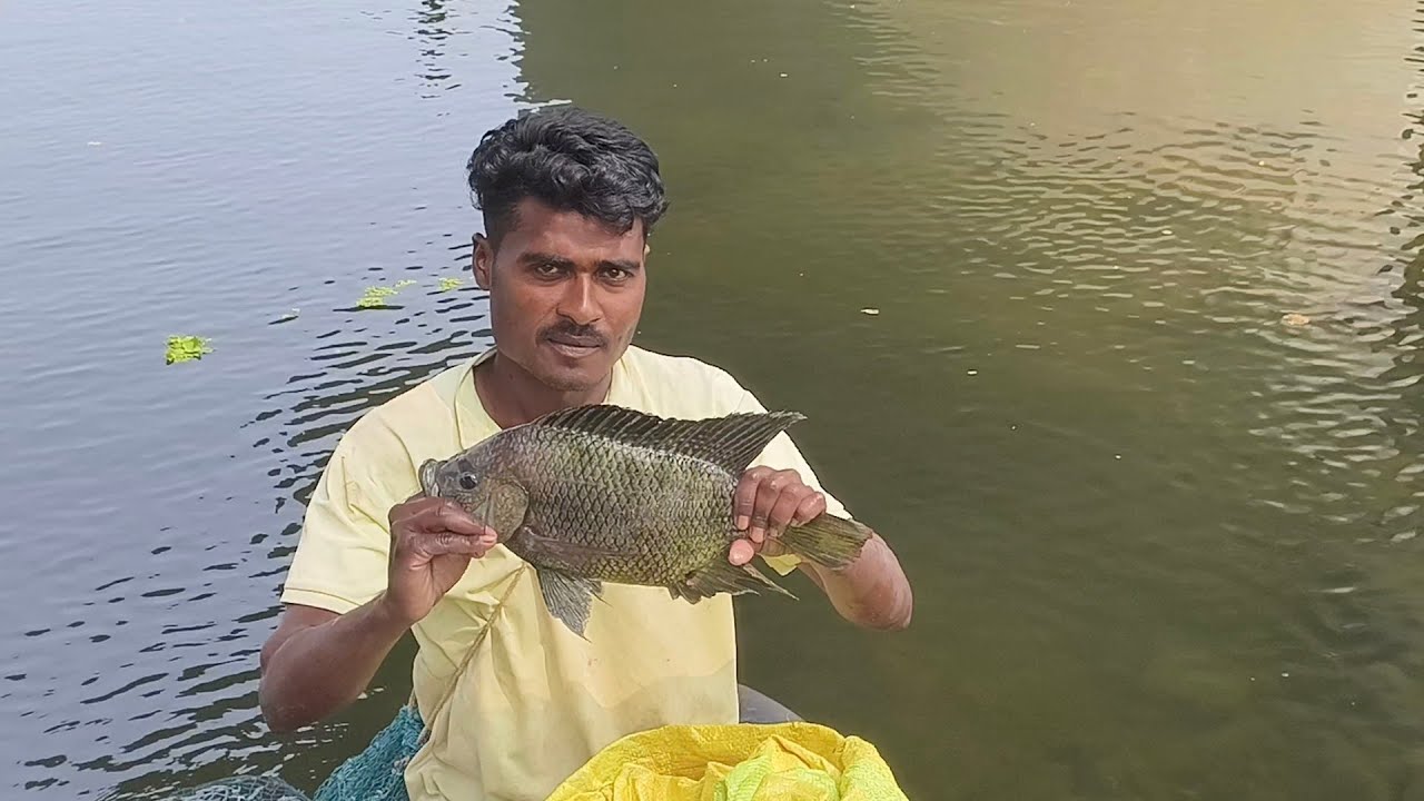 नवीन जाळाला भेटले भरपूर🤗मासे🐟मच्छी मार्केट ला दोघींची झाली तर मळ मच्छी कापायला घरी चिलापी फ्राय😋