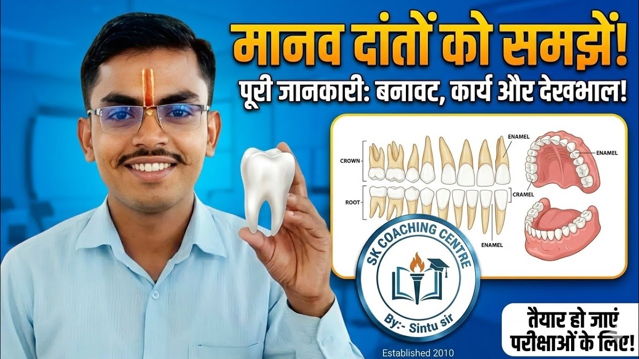 ​दांतों की संरचना कैसी होती है? | Human Teeth Structure & Types Explained