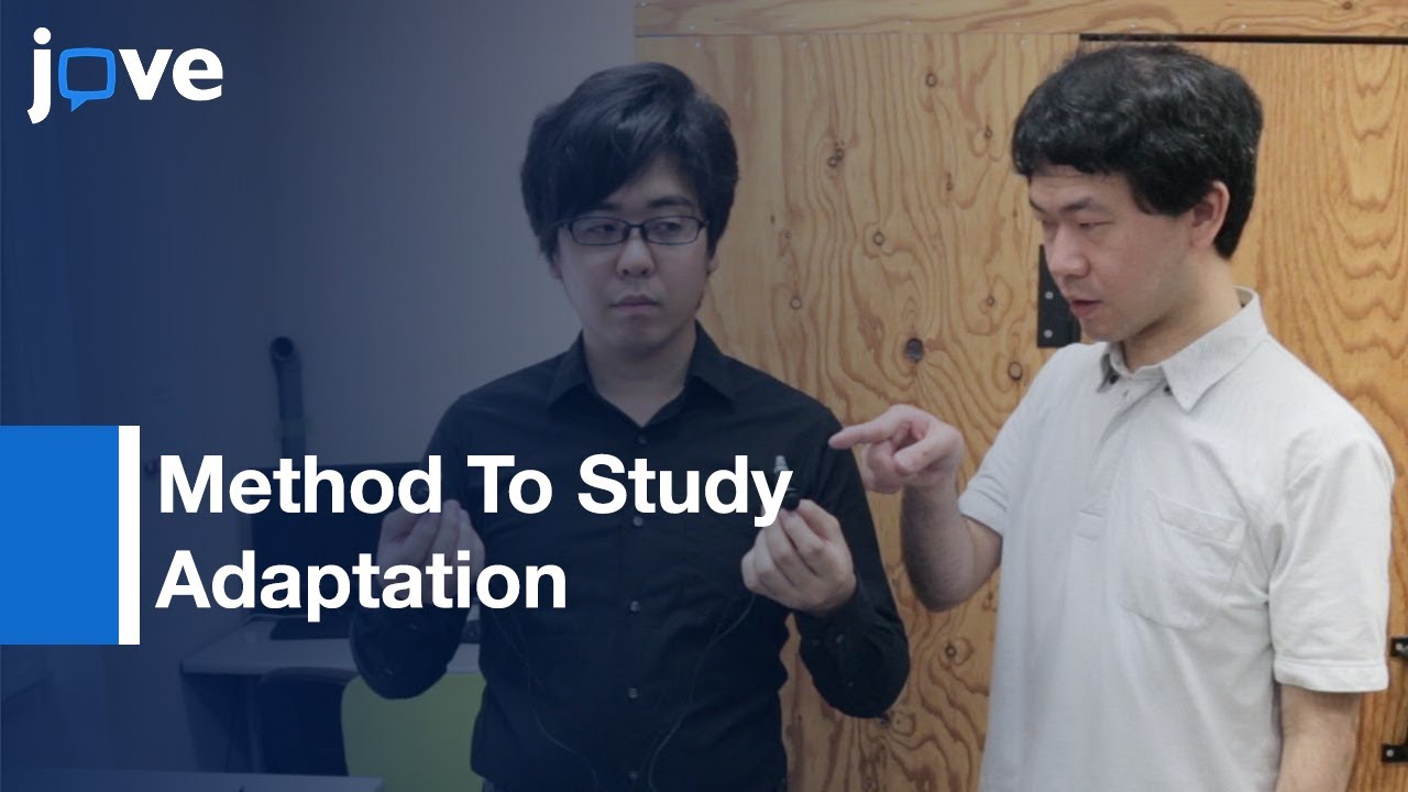 Method To Study Adaptation To Left-Right Reversed Audition l Protocol Preview