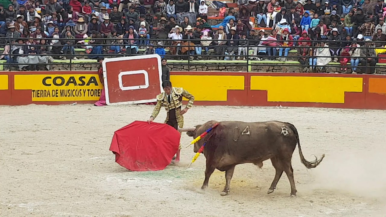 Apu saywa coasa 2019