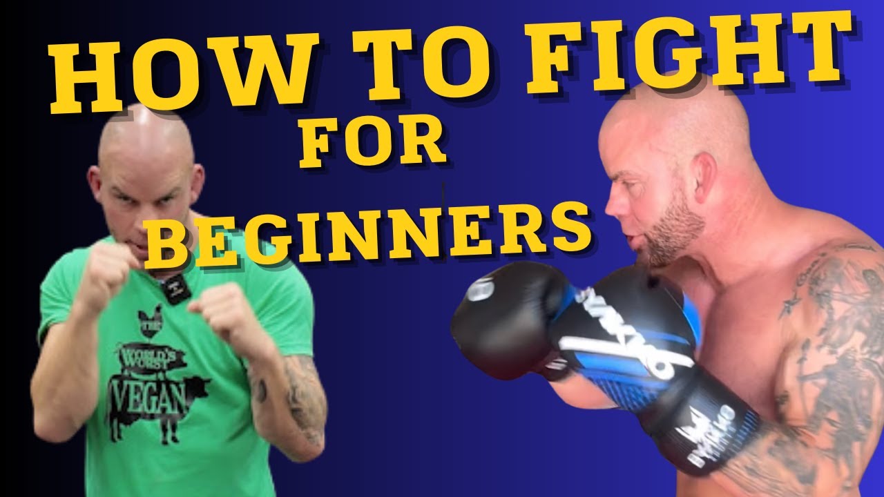 How to Fight : for beginners