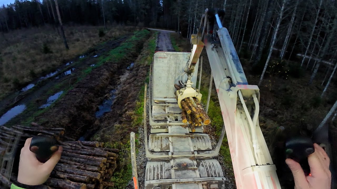 Loading Rotten and Slippery Pine Pulpwood