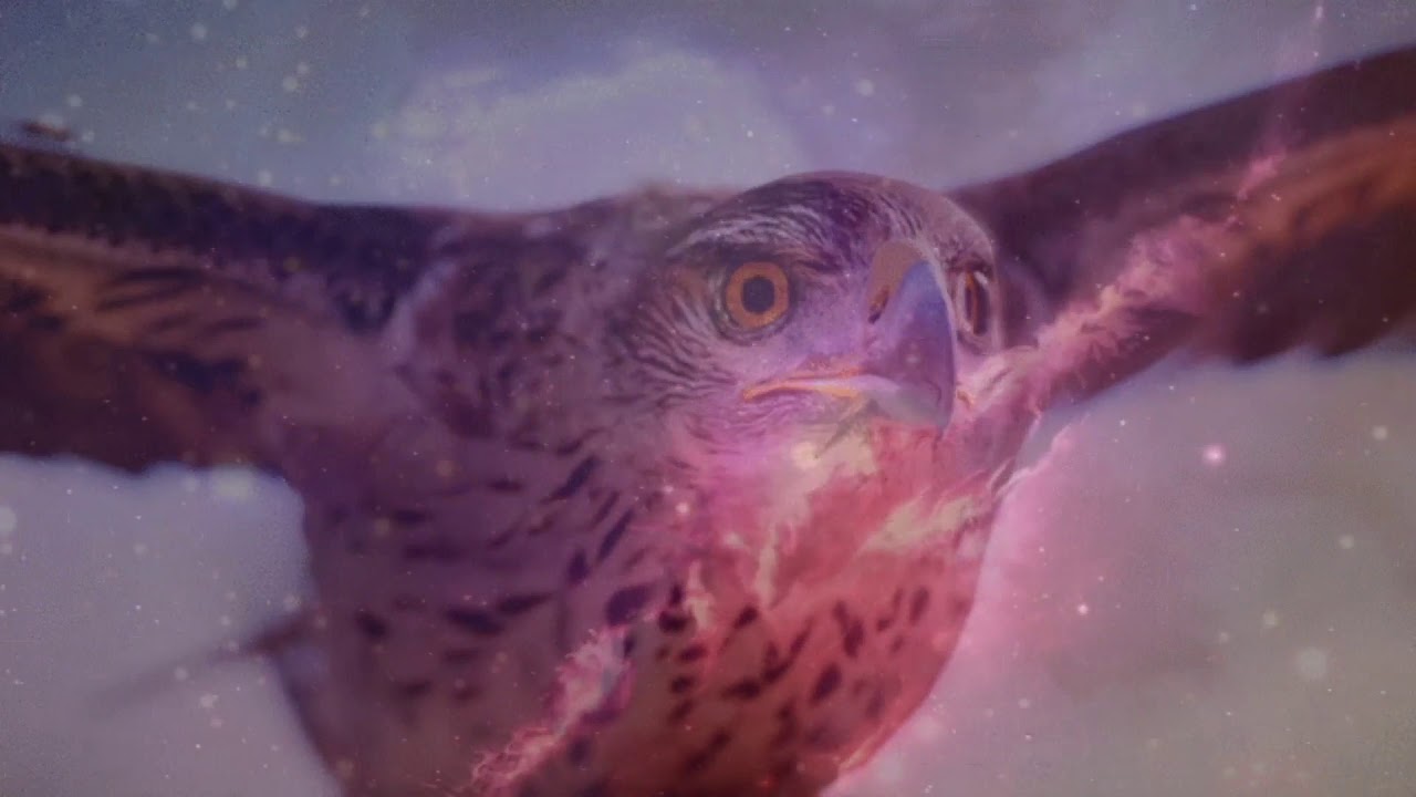 HAWKWIND Master Of The Universe live