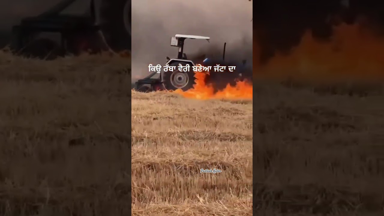 #tractor #fire #jatt #wheatcrop #farming #punjab #government