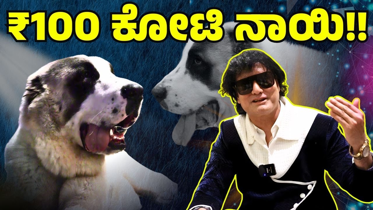 100 ಕೋಟಿ ನಾಯಿ..!! |Meet Bruno &mdash; the ₹100 Crore Worth Dog |Satish Cadaboms | Bigg Boss | E Maaye
