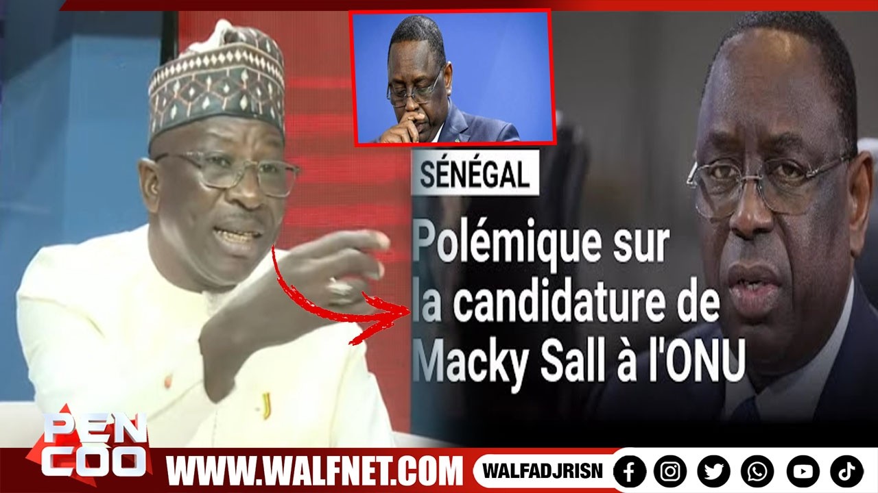 EXCLUSIF : Samba Tall Sarr Foudroie Macky Sall Suite Au Rejet De Sa Candidature Par l'UA