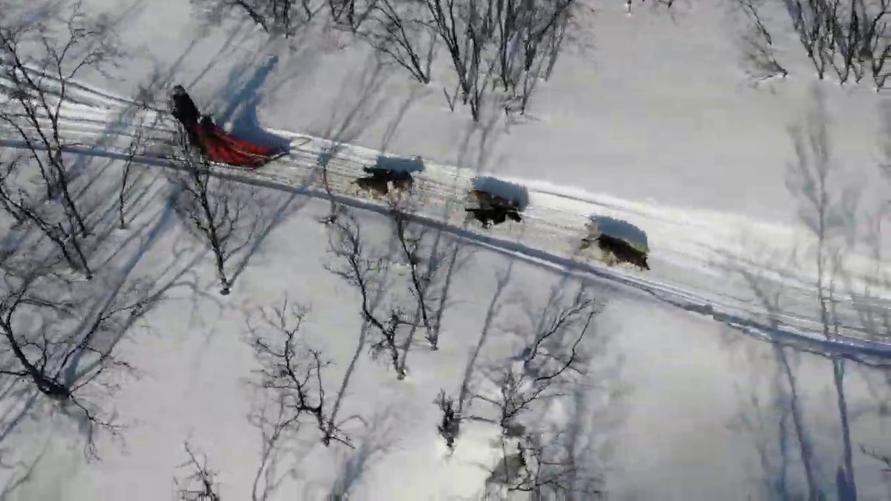 Dogsledding with Gargia Lodge