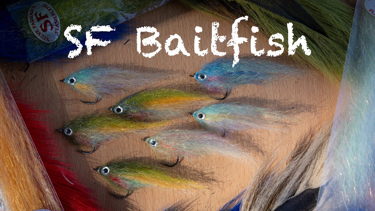 SF baitfish