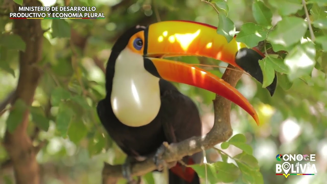 #TurismoBolivia  | ✅ TARIJA destino tur&iacute;stico. Saludamos por sus 450 a&ntilde;os de fundaci&oacute;n. ✨📸
