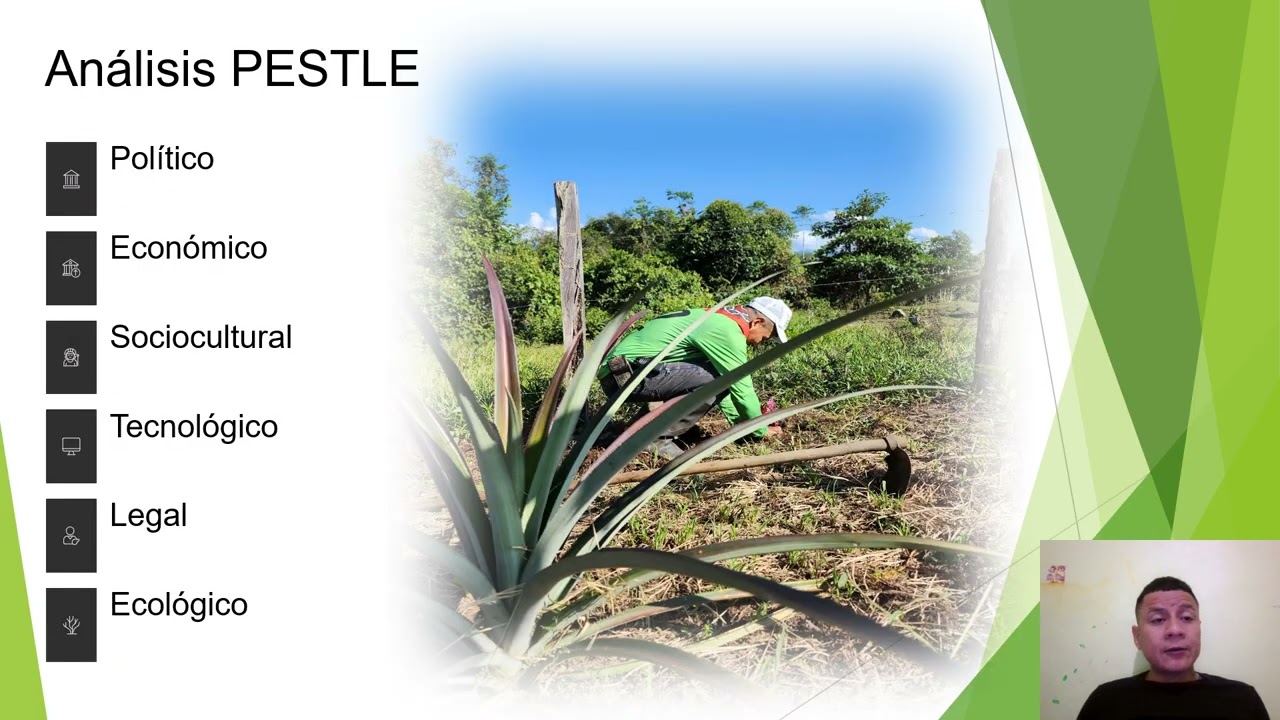 Exposición del 2° avance  DESARROLLO EMPRESARIAL