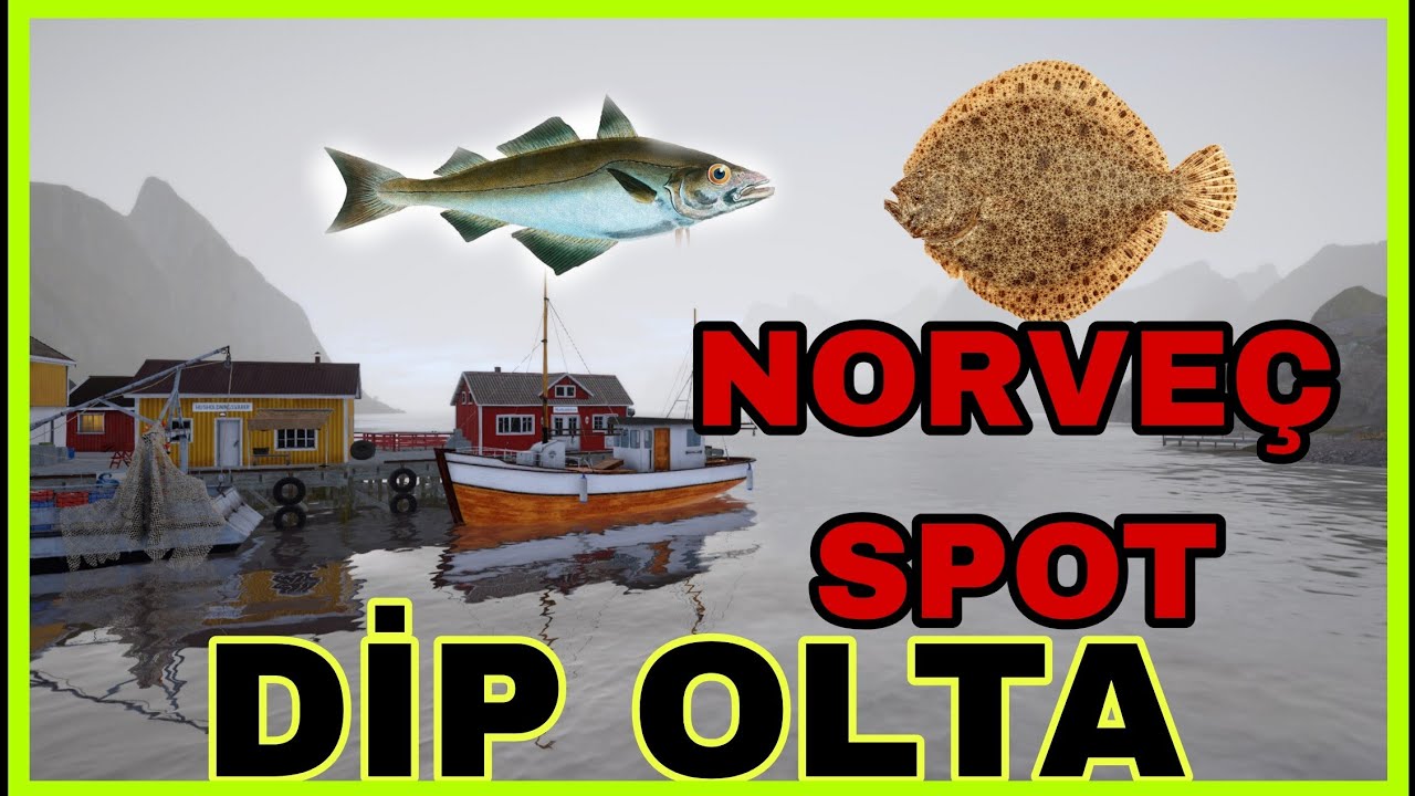 NORVEÇ DENİZİ /NORWEGIAN SEA SPOT- Russian Fishing 4 #rf4