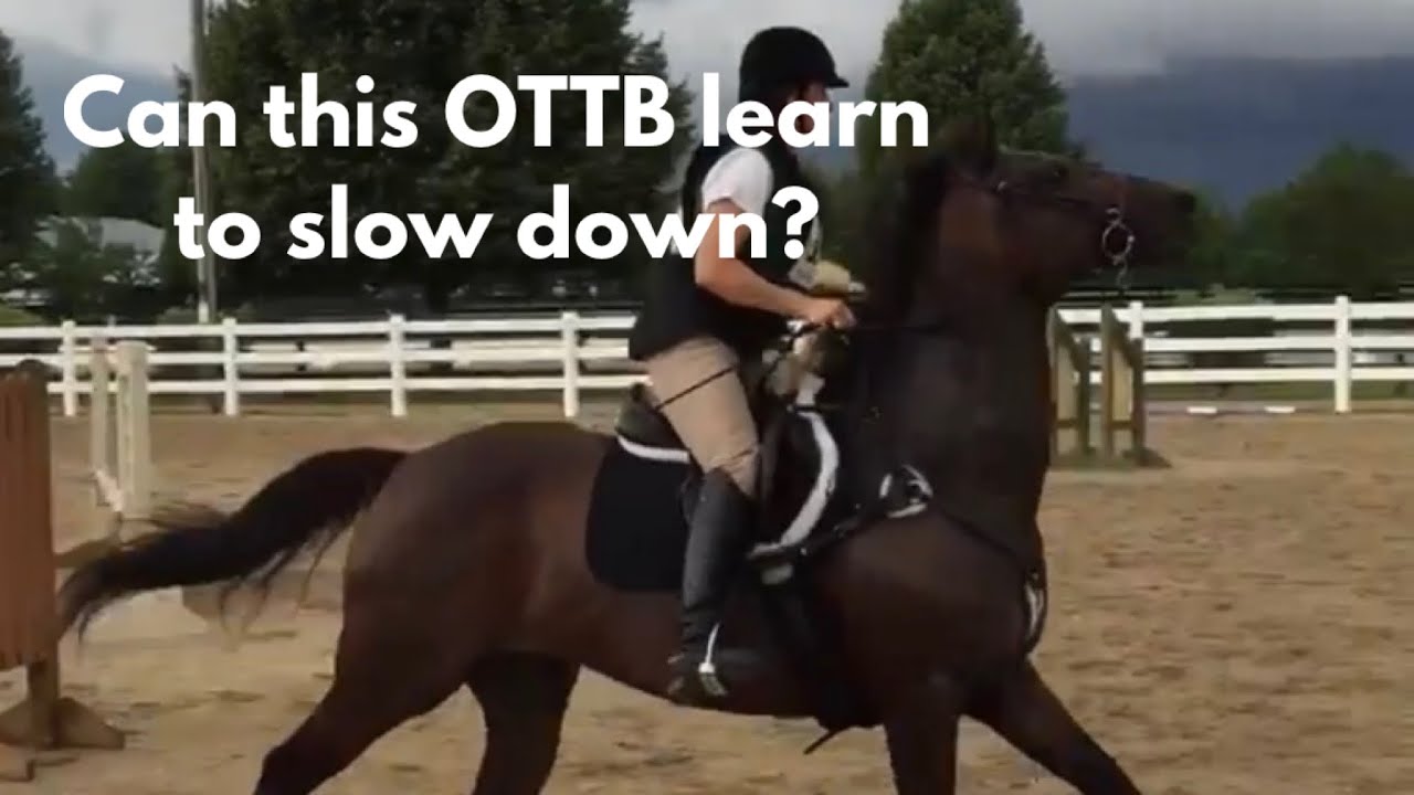Restarting a OTTB- Relaxation and Impulsion