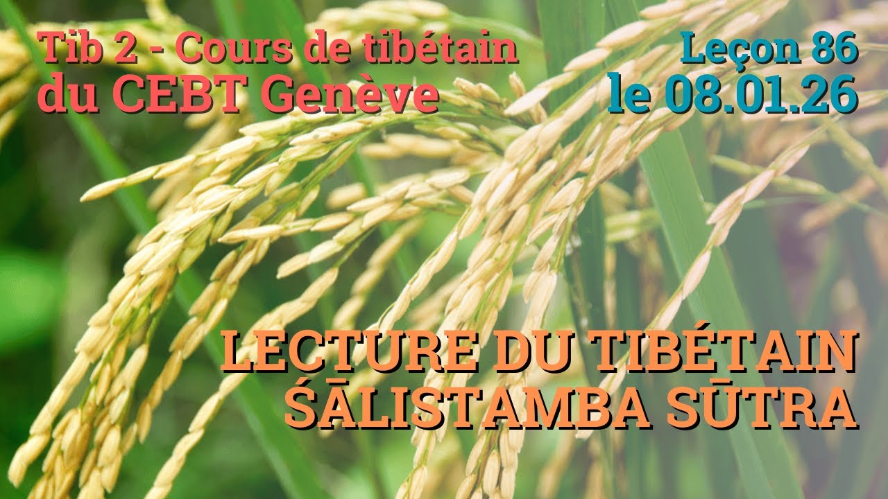Tib 2 - Cours de tibétain ”pousse de riz” -  leçon 86, le 08.01.26