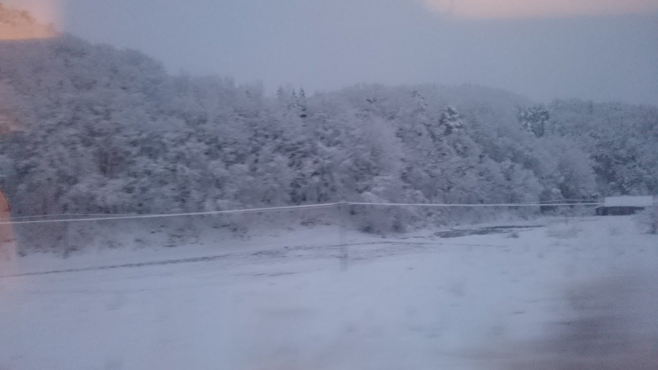 先生のおしゃべりストリーム Болтовня-стрим сэнсэя! Vol.288