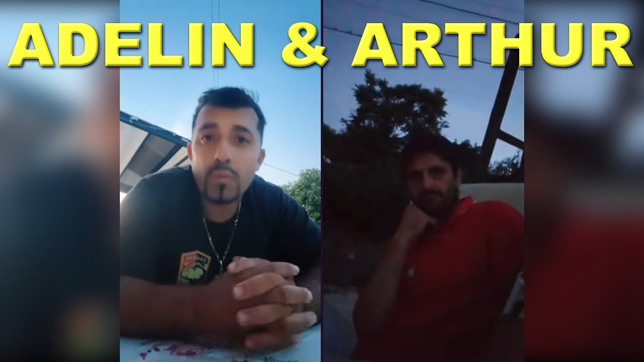 ADELIN PETRISOR DISCUTA CU ARTHUR DE LA CEPTURA