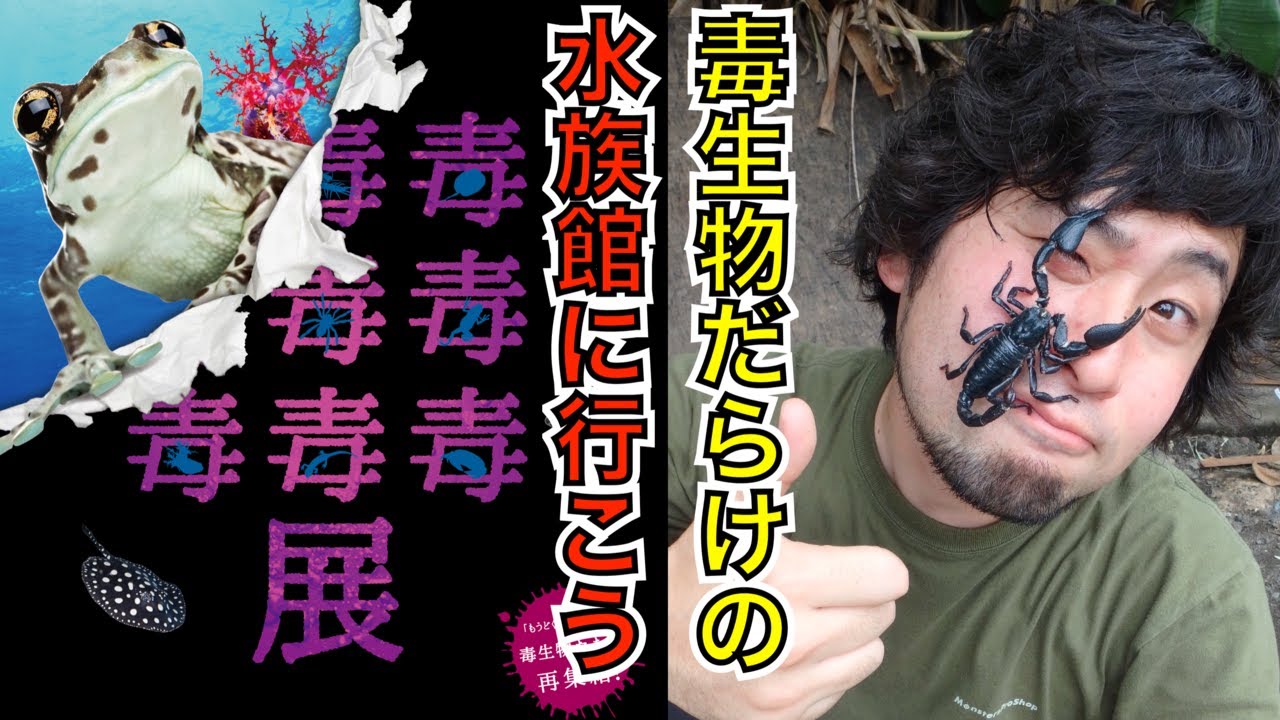 【もうどく展 × 平坂寛】有毒生物が集まる特別展！サンシャイン水族館の『もうどく展 ReMix』に行ってきた #pr