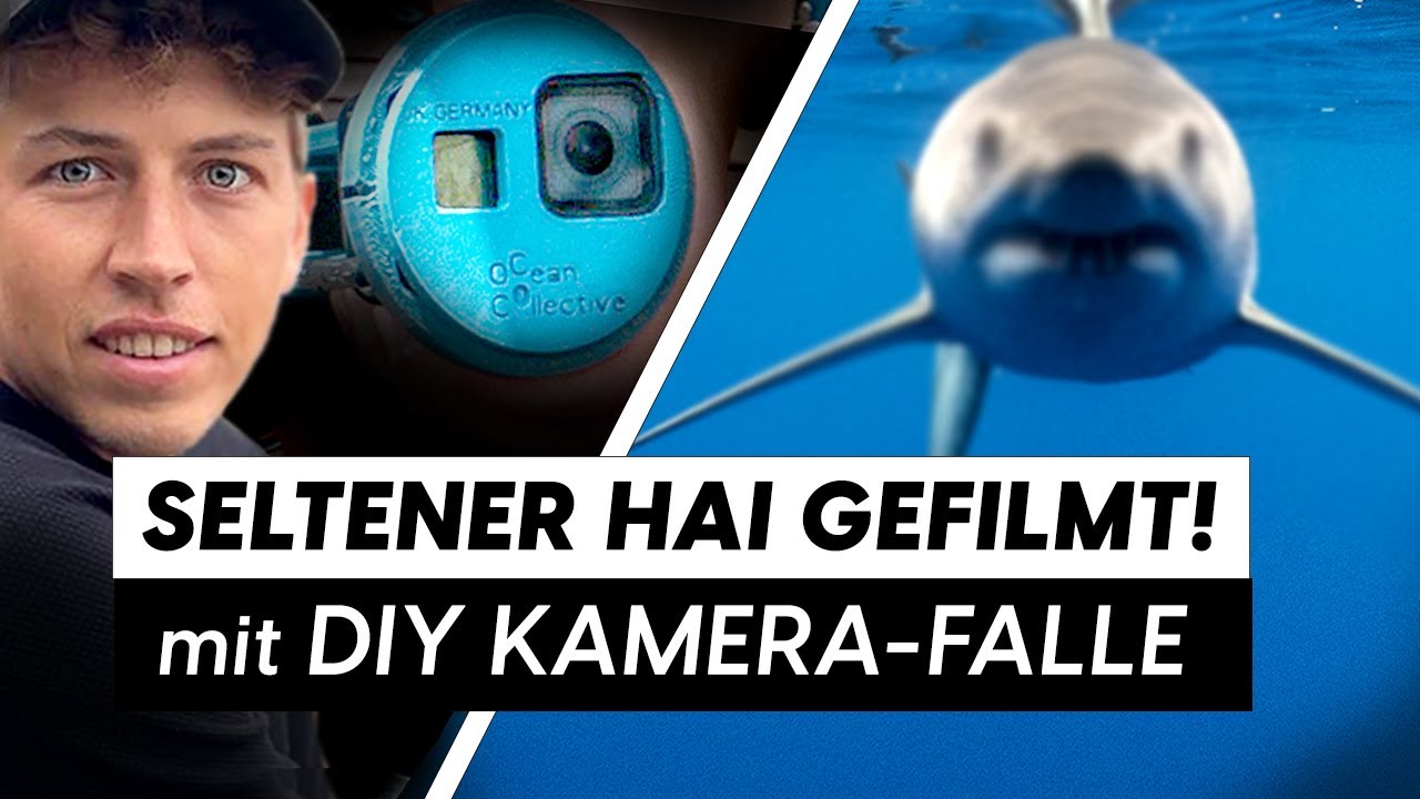 SELTENER HAI auf unserer KAMERA !! 🦈 DIY Handwerken für Meeresbiologie 🔧