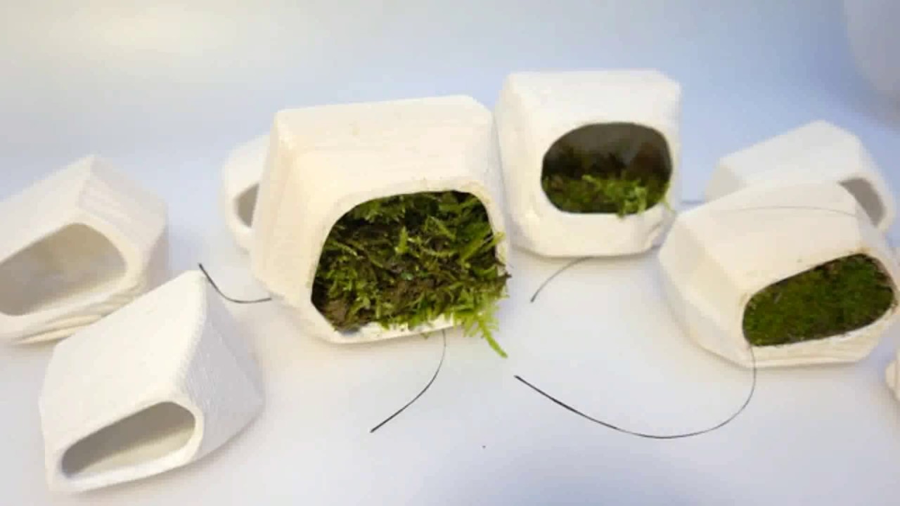 Natural process of photosynthesis to generate electrical energy.