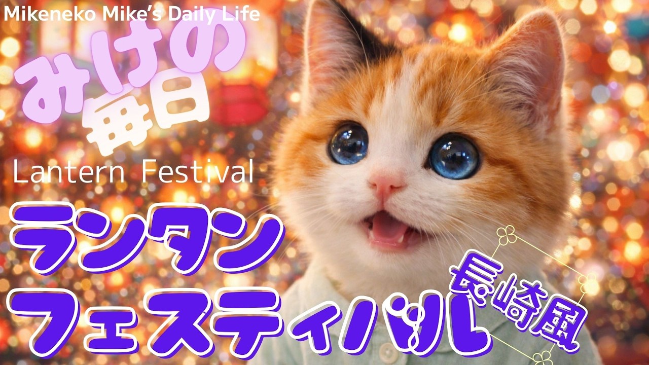 ランタンフェスティバル♡『三毛猫みけの毎日』Mikeneko Mike’s Daily Life .　ランタンが綺麗だにゃ〜の巻