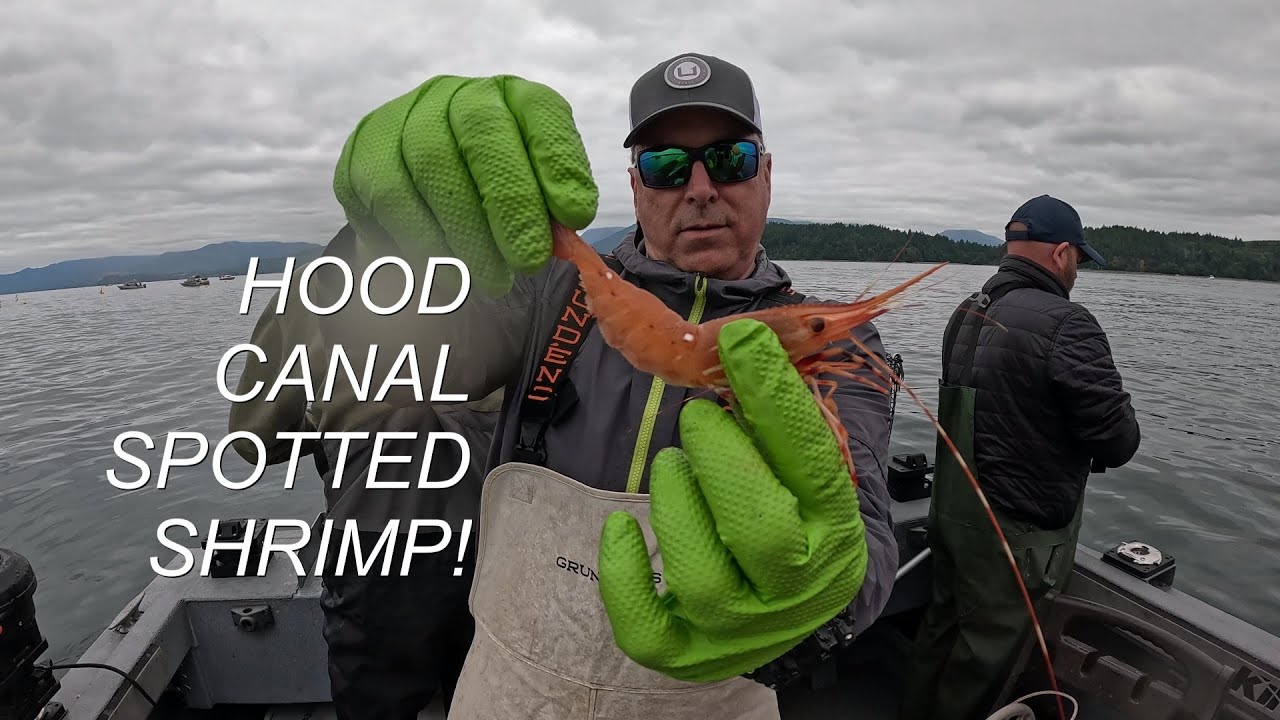 2025 Hood Canal Shrimping Day 3!